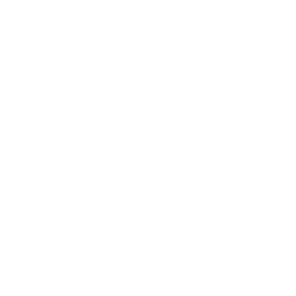 icon Zalo