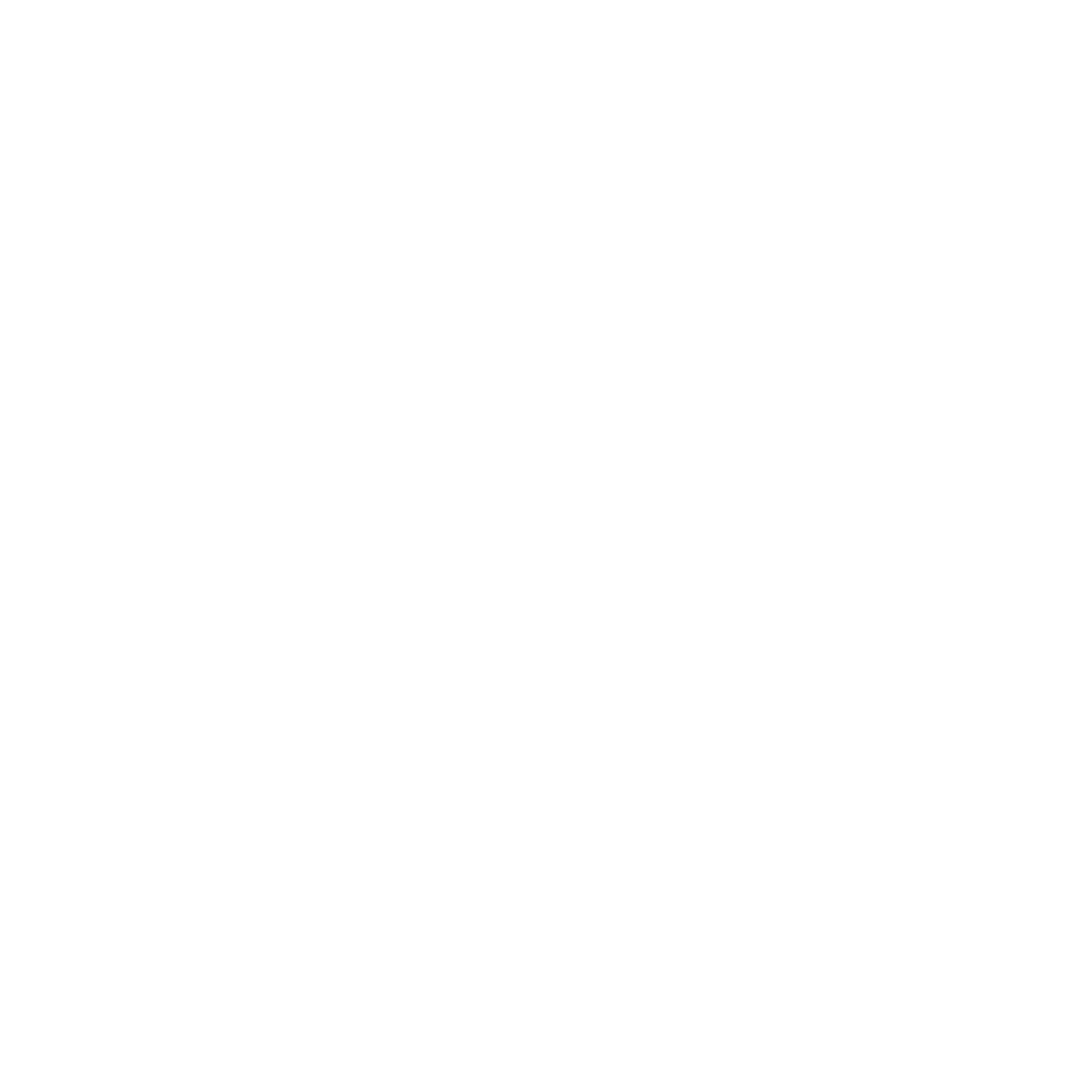 icon Zalo